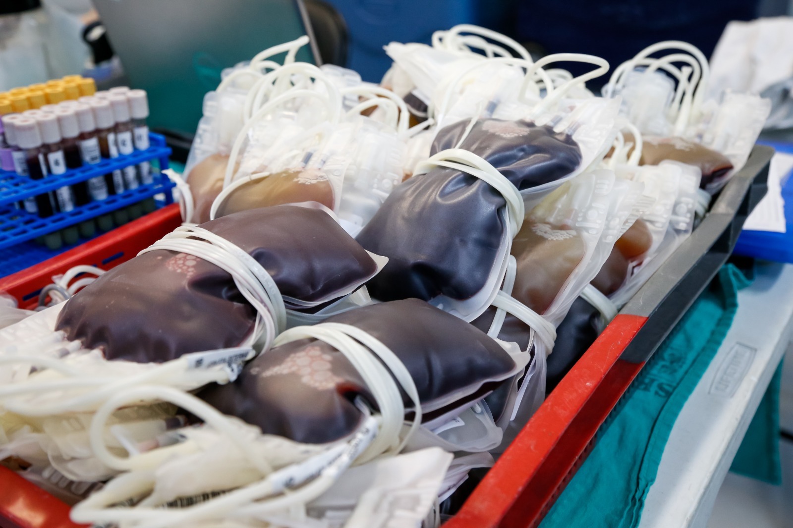 Hospital Souza Aguiar promove campanha de doação de sangue - Prefeitura da Cidade do Rio de Janeiro