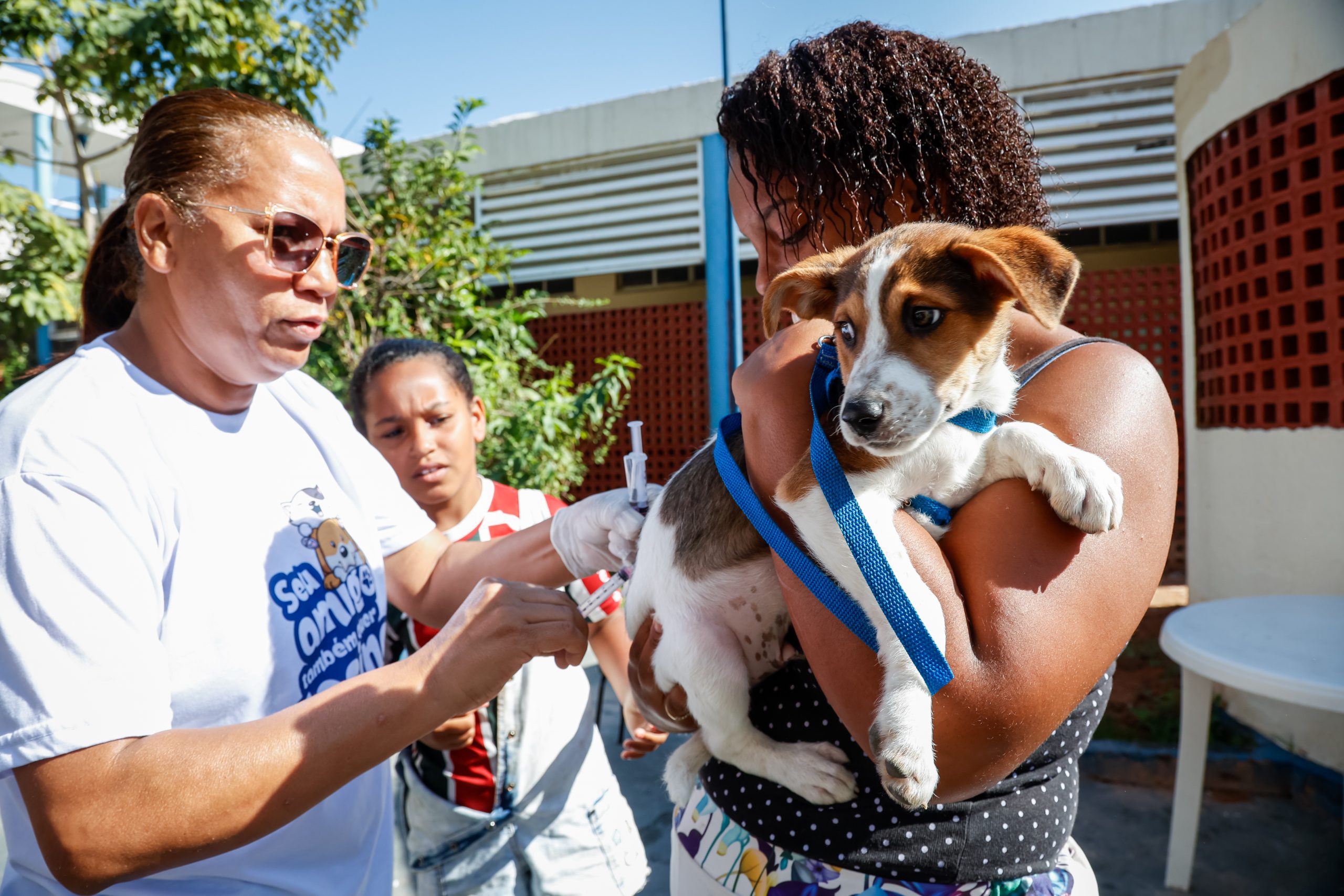 Campanha antirrábica vacina mais de 110 mil animais na Zona Norte - Prefeitura da Cidade do Rio de Janeiro
