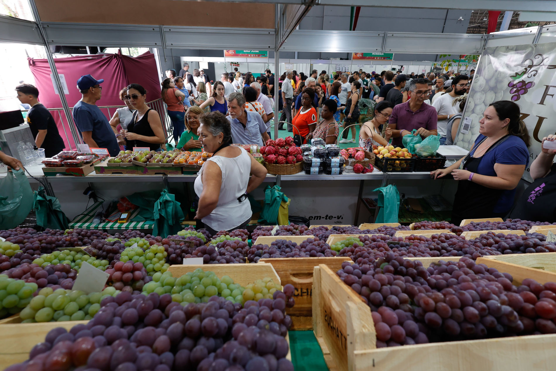 Festa da Uva consagra agronegócio de Jundiaí