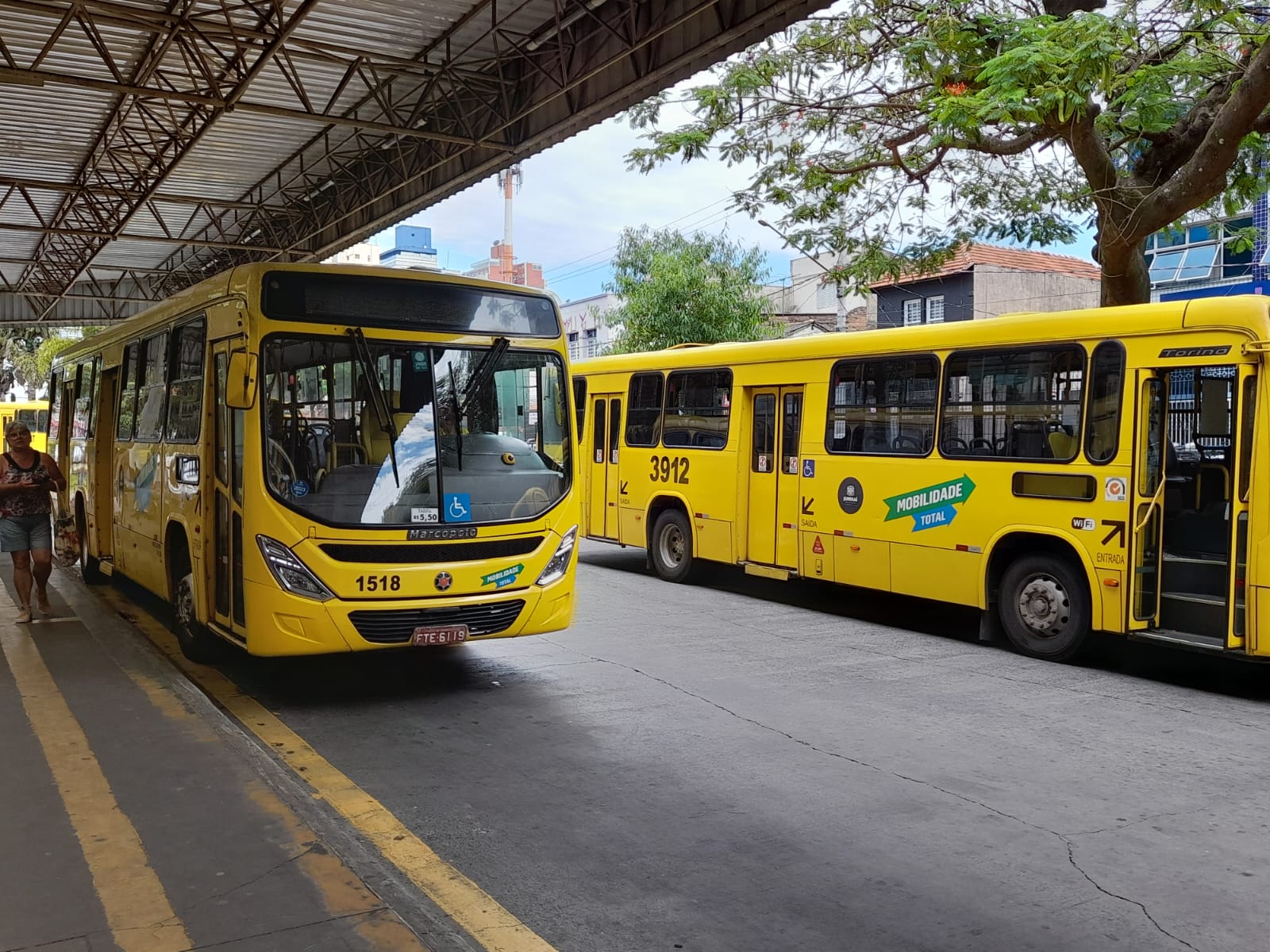 Festa da Uva terá tarifa a R$ 1 aos domingos, linha exclusiva e estacionamento gratuito para o público